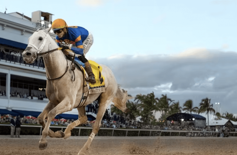 The Role of Media and Broadcasting in Horse Racing