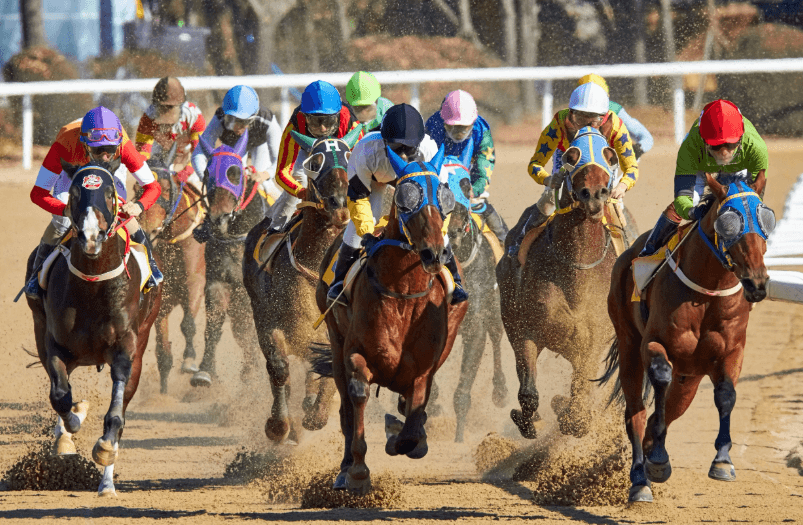 The Role of Jockeys in Race Outcomes