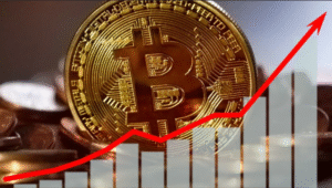 How to Recover Access to a Crypto Wallet